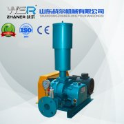 WSR-150水泥行業(yè)專(zhuān)用羅茨鼓風(fēng)機(jī)